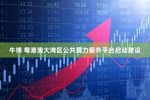 牛博 粤港澳大湾区公共算力服务平台启动建设