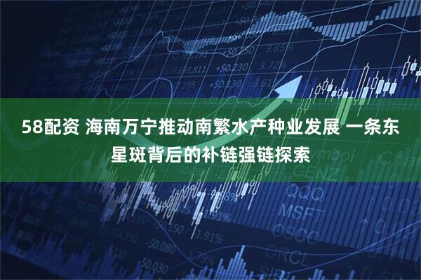 58配资 海南万宁推动南繁水产种业发展 一条东星斑背后的补链强链探索