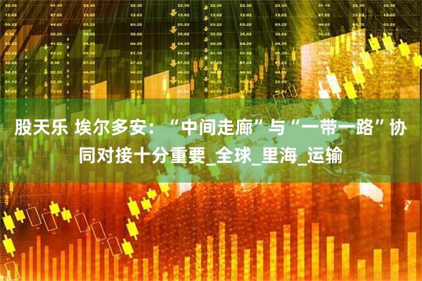 股天乐 埃尔多安：“中间走廊”与“一带一路”协同对接十分重要_全球_里海_运输