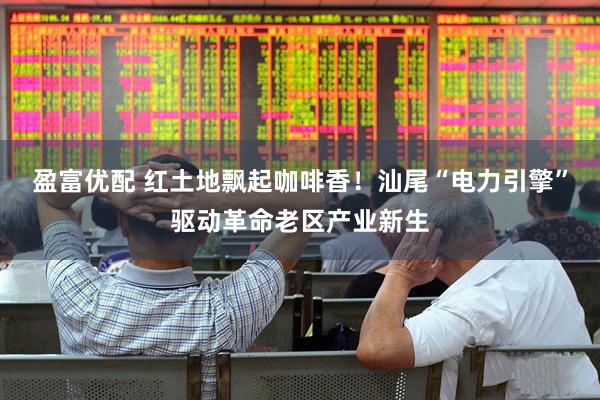 盈富优配 红土地飘起咖啡香！汕尾“电力引擎”驱动革命老区产业新生